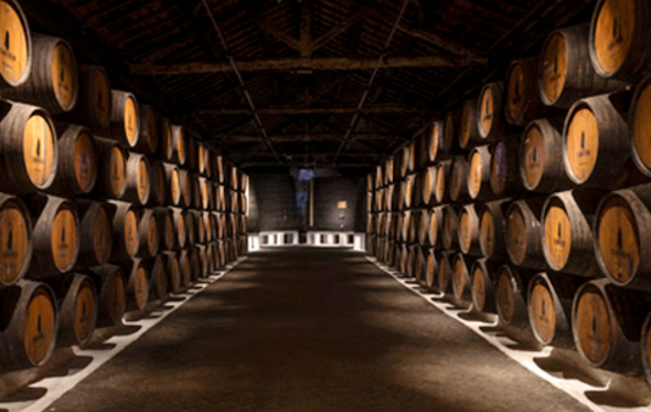 As Caves do Vinho do Porto