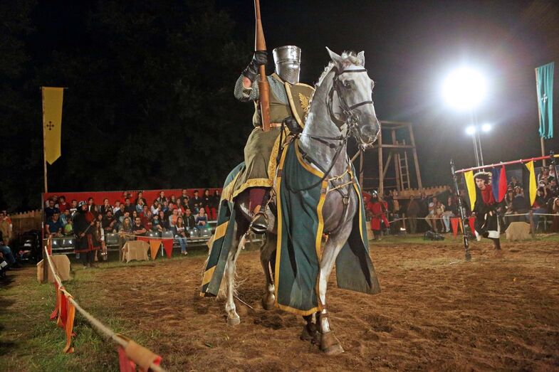 Viagem Medieval
