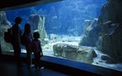 Oceanário