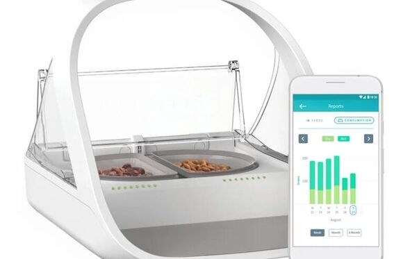 Comedouro inteligente