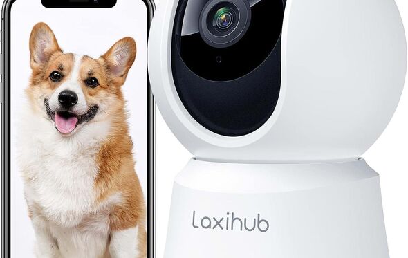 Câmara de vigilância