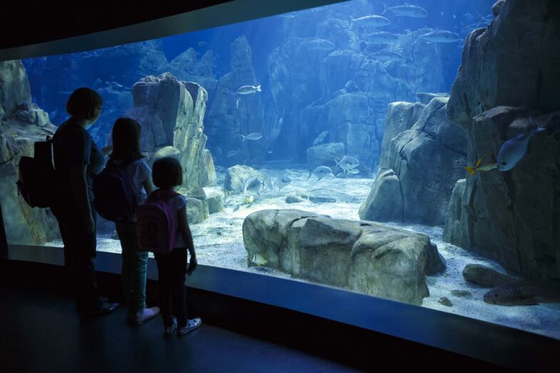 Oceanário