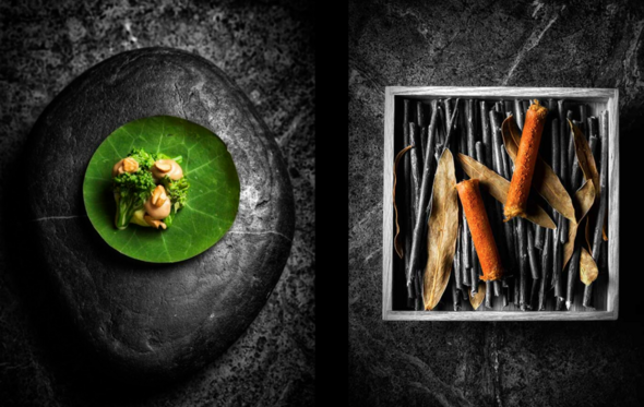 Ljubo apresenta quatro menus