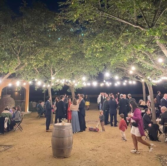 Bernardo Lobo Faria e Diogo Bravo