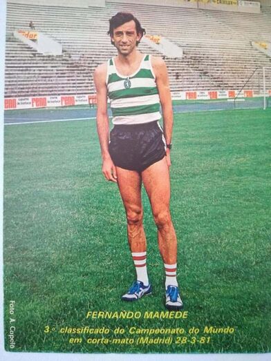 Fernando Mamede