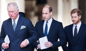 Carlos III, William, Harry 