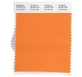 As cores de 2024
