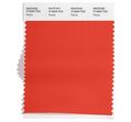 As cores de 2024