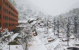 Já neva na Serra da Estrela! As melhores escapadinhas de fim de semana para aproveitar o manto branco