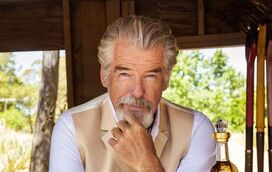 Pierce Brosnan em sarilhos com a Justiça por andar… onde não devia