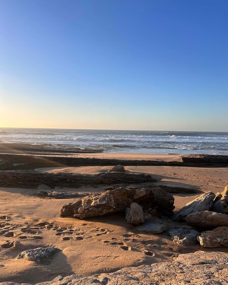 Cristina Ferreira, Jorge Frade, Catarina Duarte