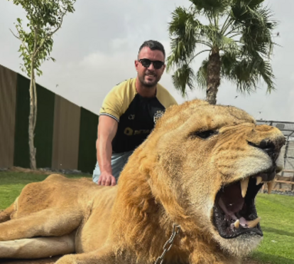 Marco Costa faz marcha atrás e afinal pede desculpa após vídeos polémicos com animais
