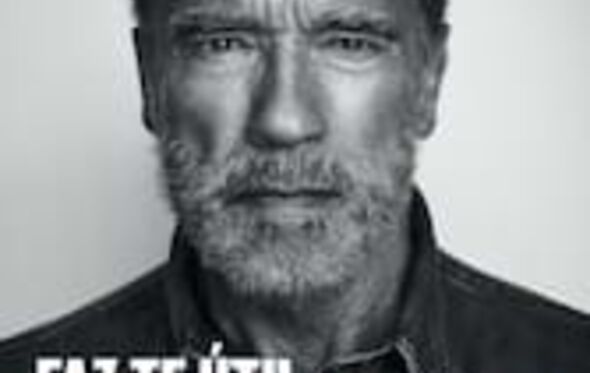 Arnold Schwarzenegger, Faz-te útil
