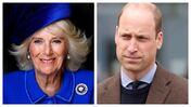 Camilla, príncipe William 