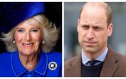Camilla, príncipe William 
