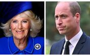 Camilla, príncipe William 