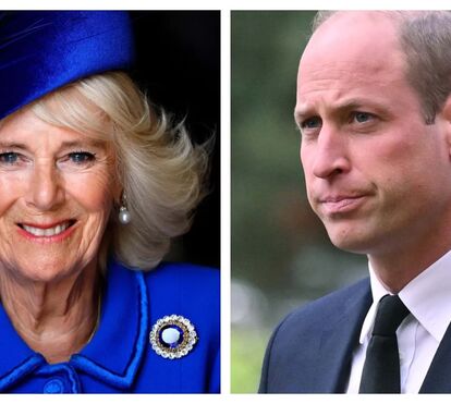 Para salvar Buckingham! Príncipe William obrigado a 'engolir um sapo' ao fazer aliança inesperada com a rainha Camila