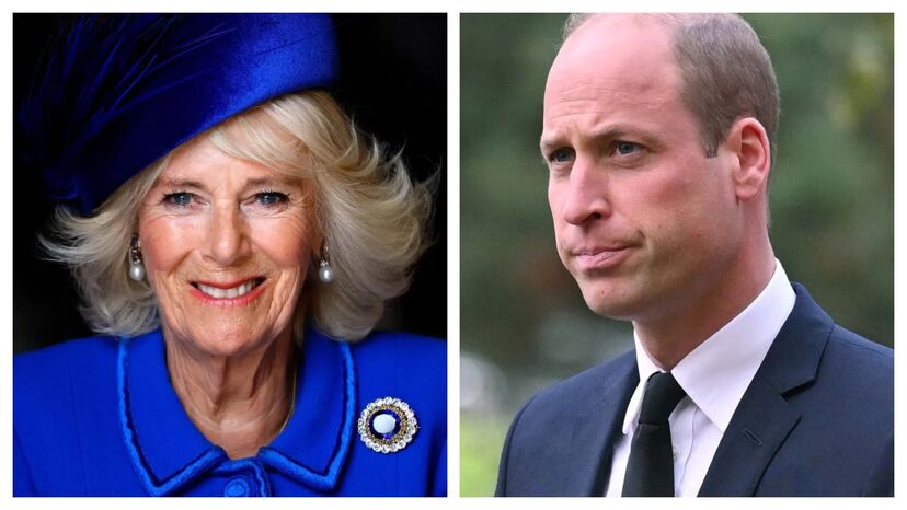 Camilla, príncipe William 