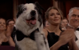 Mais insólitos nos Óscares: Um cão sentado na plateia e o vestido de Emma Stone rasgado