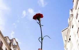 E de repente passaram 50 anos! De Norte a Sul de Portugal, o País curva-se ao momento histórico que mudou a vida de uma nação
