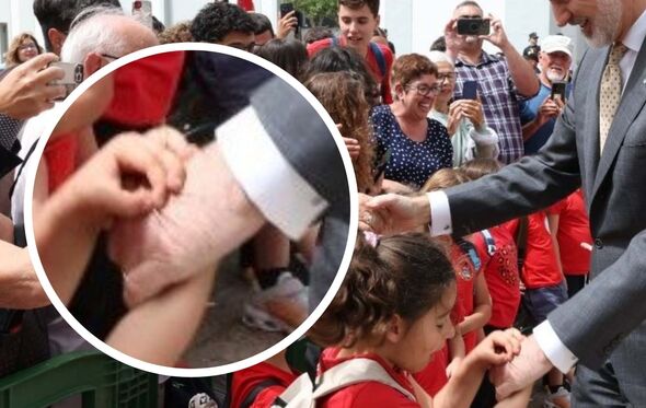 Menina belisca o rei Felipe VI