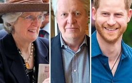 Desprezado pela família real, Harry conta apenas com o apoio do irmão e da irmã da princesa Diana