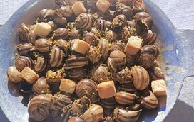 E o que é que não pode faltar no Verão? Caracóis, pois claro! E há um festival todinho só para eles