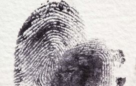 A Dactiloscopia