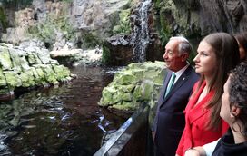As imagens inéditas da futura rainha de Espanha, Leonor, ao Oceanário de Lisboa.