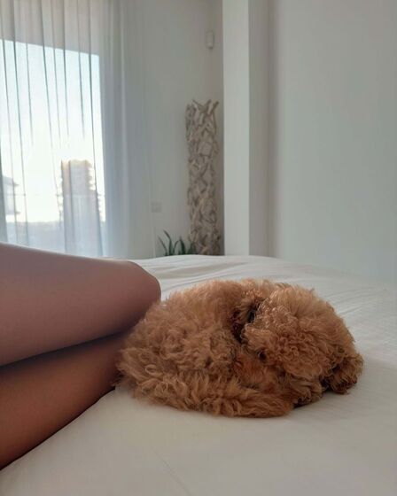 Francisca Cerqueira, Gomes Pierre Gasly, Simba