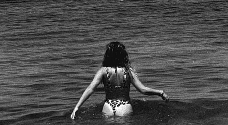 sara sousa pinto