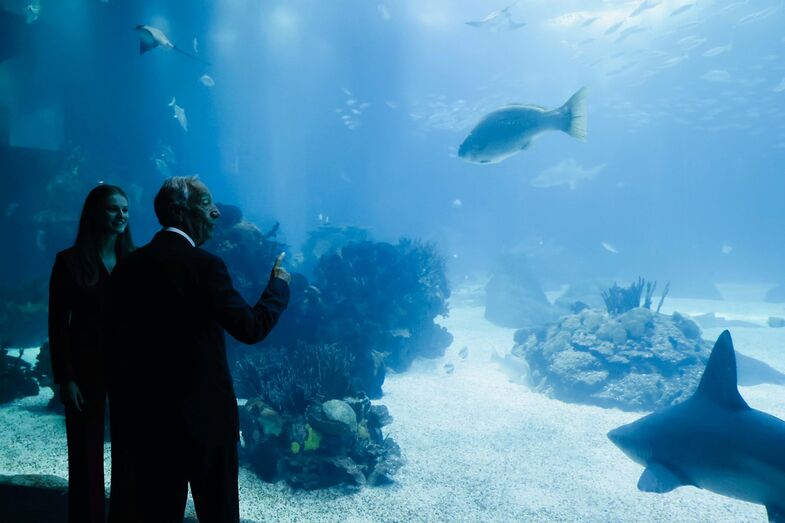 Princesa Leonor, oceanário