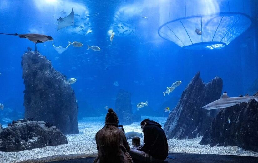 Oceanário de Lisboa