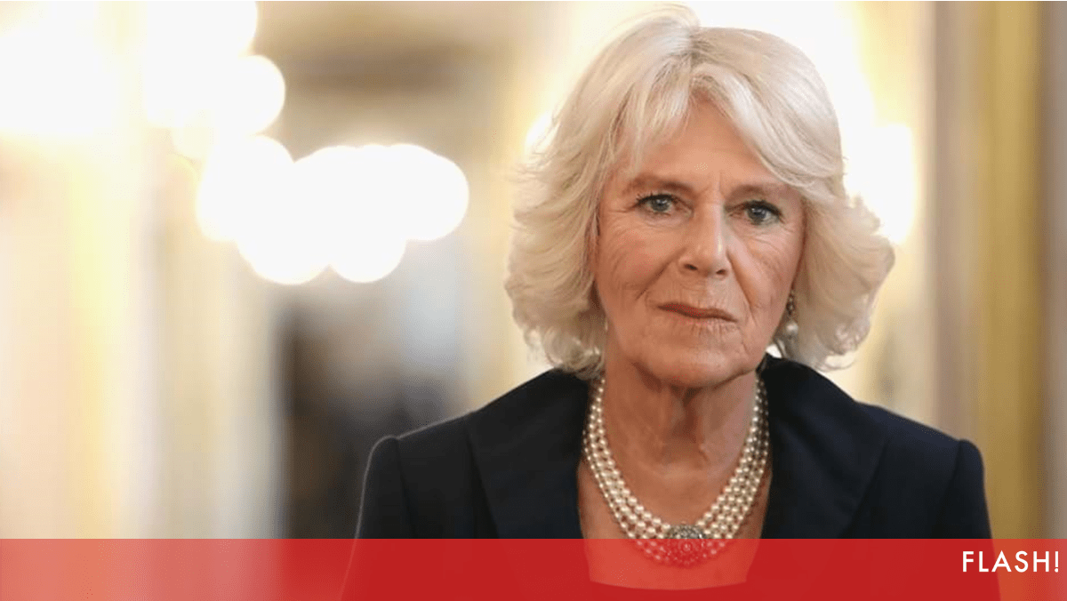 Atualização Urgente: Palácio de Buckingham Divulga Comunicado Oficial sobre Saúde da Rainha Camilla