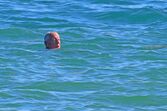 Marcelo Rebelo de Sousa, na praia de Monte Gordo