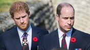 Príncipe William, príncipe Harry