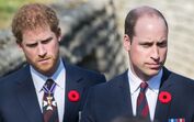 Príncipe William, príncipe Harry