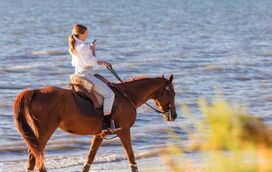 Adeus aos maus-tratos impunes? Cavalos podem passar a ser animais de companhia em Portugal