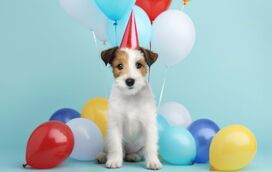 Precisa de um lugar para deixar o seu patudo? Há uma creche canina onde até se organizam festas de aniversário
