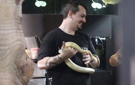 Cobras e lagartos! José vive rodeado de répteis. Só em casa tem mais de 40
