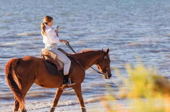 Cavalos, Pátio Tejo