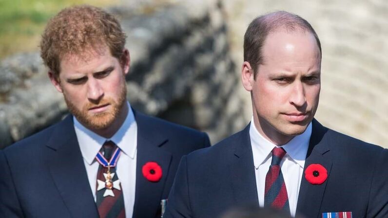 Príncipe William, príncipe Harry