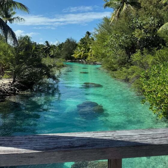Férias de Isabel Figueira em Bora Bora 
