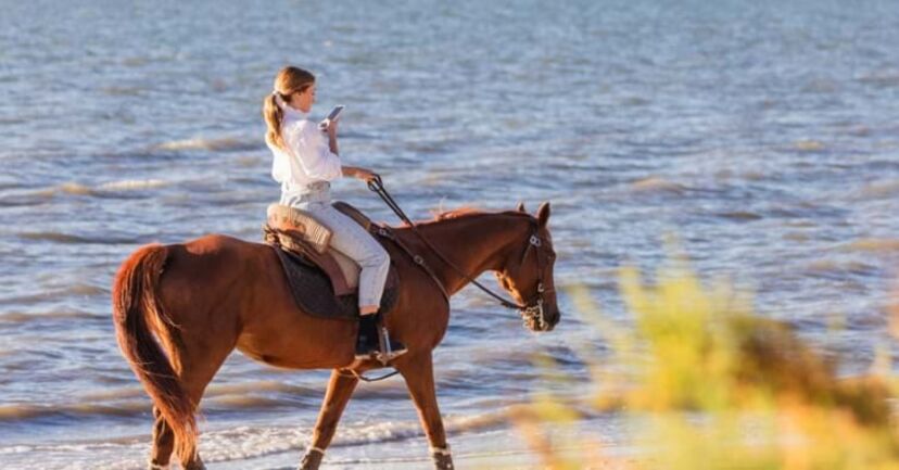 Cavalos, Pátio Tejo