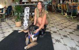 Do brunch delicioso a acessórios de moda, aqui encontra tudo… na companhia do seu patudo