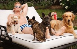 Neil Patrick Harris apresenta nova cadela: “Está cheia de amor”