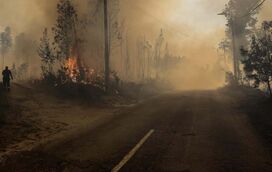 'Inferno' de chamas em Albergaria-a-Velha: imagens de drone mostram dimensão do caos 