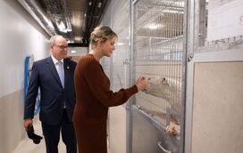 Juntos pelos animais! Alberto II e Charlene surgem unidos em inauguração de refúgio de cães e gatos