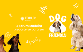 Já pode levar o seu patudo ao centro comercial. Saiba onde!