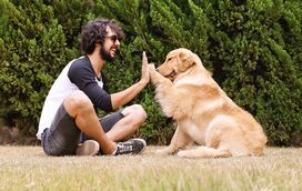 Está comprovado! A relação com um bicho de estimação reduz o risco de depressão e ansiedade